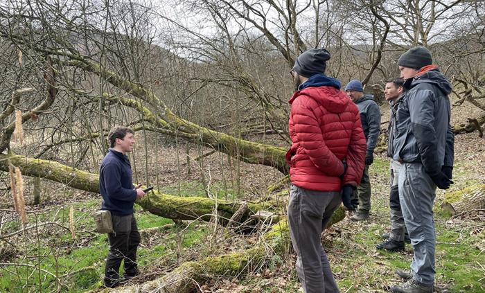 Identifying and using trees